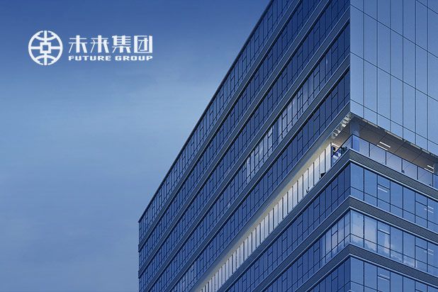 湖南未来投资集团-长沙网站建设,长沙网站开发,长沙网站设计,长沙网站制作,长沙软件开发,长沙系统开发,长沙做网站公司,长沙蒲公英网络