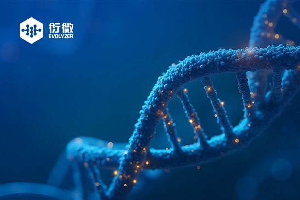 北京衍微科技有限公司_长沙网站建设